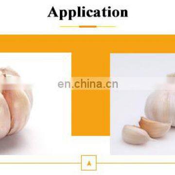 Wholesale Automatic Garlic Clove Separator photo-7