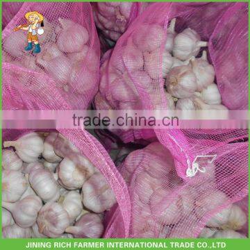20Kg Mesh Bag Fresh Red Garlic