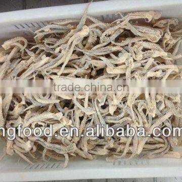 Pacificus Breaded squid tentacles