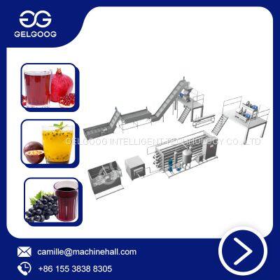 Stainless Steel Industrial Fruit Juice Concentrate Production Processing Line