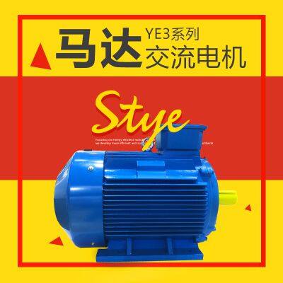 YE3 Series Low-Voltage Motor AC MOTOR photo-4
