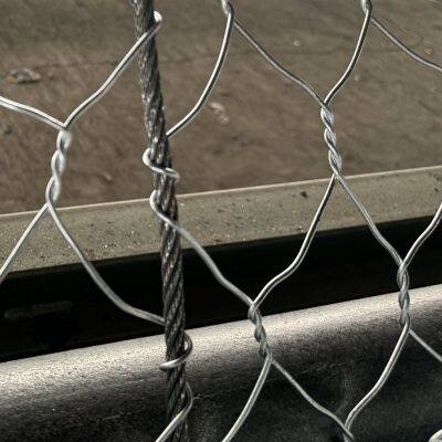 Polymer Coating Hexagonal Double Twisted Wire Mesh Rockfall Protection Mesh Price for Slope Protection photo-5