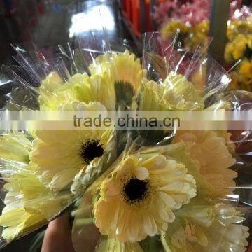 Bottom price Dalma alibaba china flower white gerbera