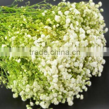 Low price hot selling decorative gypsophila bush