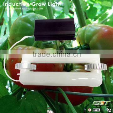 emitting color full spectrum induction grow lights item type and 300w led grow light