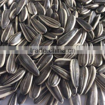 Bulk sunflower seeds, Chinese factories