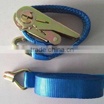 suoli webbing material Ratchet Lashing with harwares