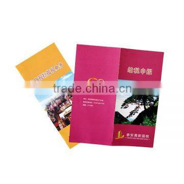 customized promotional brochure sample catalogue printing services