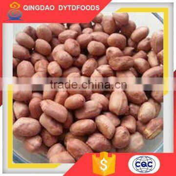 China Manufacturer Red Skin Peanut In China