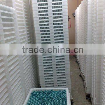 Food Grade Pharmaceutical Drying Tary For Drying Paintball / Softgel / Capsule photo-5