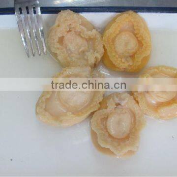 best offer Canned abalone from Factory