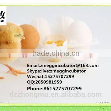 ZM-352 Egg Incubator/352 Chicken Egg Incubator/ Manufacture Price photo-6