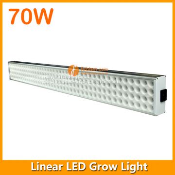 3FT 70W LED Grow Lighting