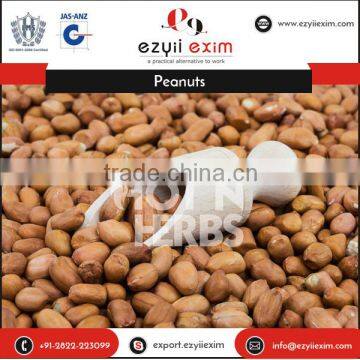 Raw Peanuts for Manufacturing Peanut Butter