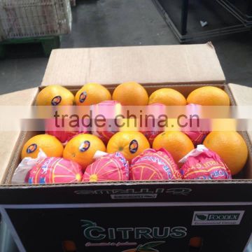 Citrus Fruit Product Type and Fresh Style Egyptian navel orange