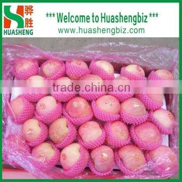 fresh fuji apple, names all fruits