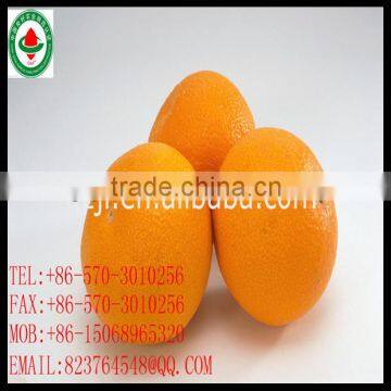 Navel Orange