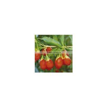 GMP Manufacturer Supply 100% Natural Goji Concentrate Juice