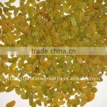 Dried green raisin
