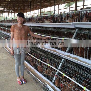 TAIYU Best Sale Chicken Egg Layer Cages System