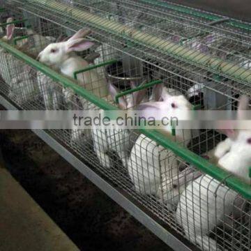 Stainless steel rabbit cage
