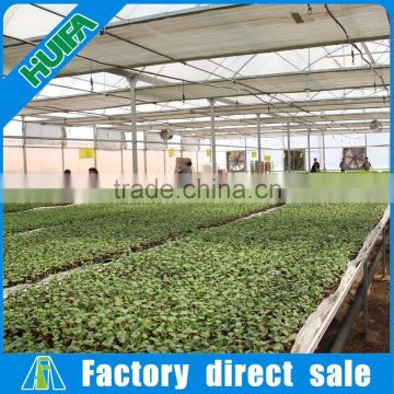 China Hot Galvanized Economical greenhouse rolling tables