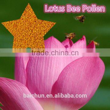 Very Popular Strengthen and Fitness of Body's Lotus Bee Pollen in Daily