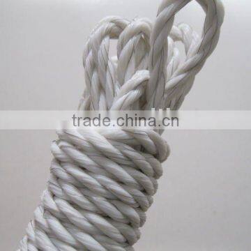 Poly electric fence wire