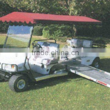 Custom Golf Cart with Wheelchair Access & Transport