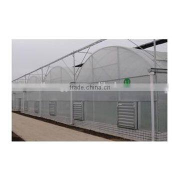 Polycarbonate Greenhouse photo-4