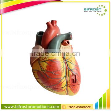 Anatomical Biological Teaching Aids Plastic Heart Model