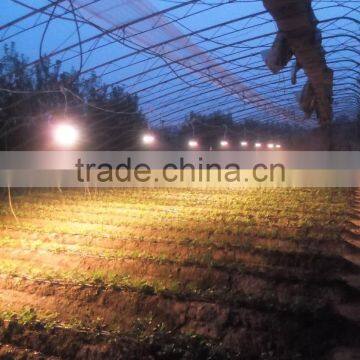 100w Indoor Led Plant Light Bulb to Grow Plants photo-5