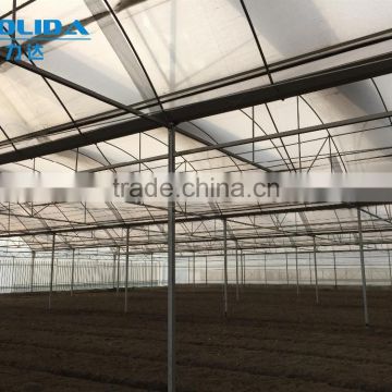 BaoLiDa multi-span poly carbonate PC agriculture commercial greenhouse