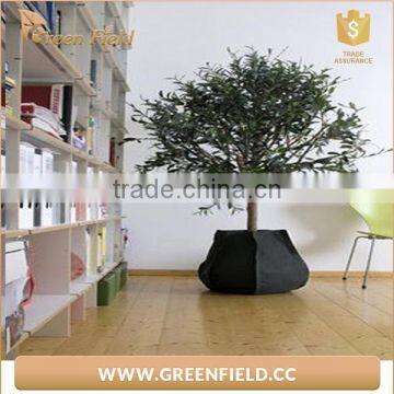 High Quality Fabric Grow Bags,black Lantern Polyester Grow Bags photo-2