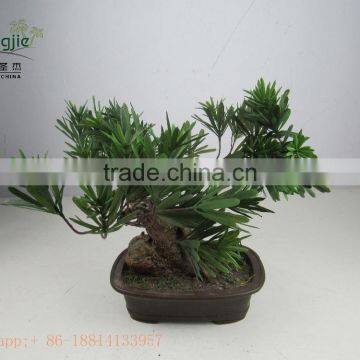 Miniascape,potted Evergreen Landscape,shapped Bonsai photo-4