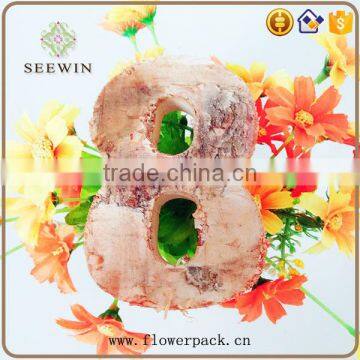 White Birch is Used for the Number of Child Recognition photo-6