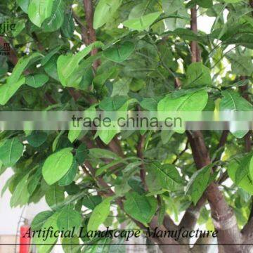 Wholesale Decorative Artificial Orange Tree,fiberglass Artificial Orange Tree photo-2