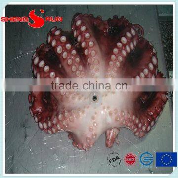 Frozen Flowered Baby Octopus photo-4