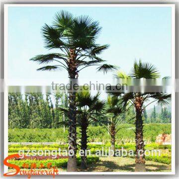 2.5m Hight New Product Large Outdoor Plastic Artificial Palm Trees for Sale photo-2