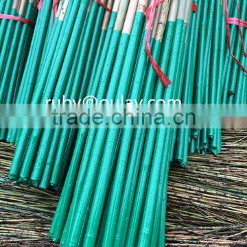 Plastic Coated Natural Garden Bamboo Canes