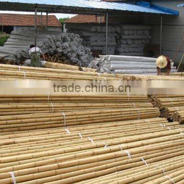 Sale Bamboo Poles Material/Bamboo Canes