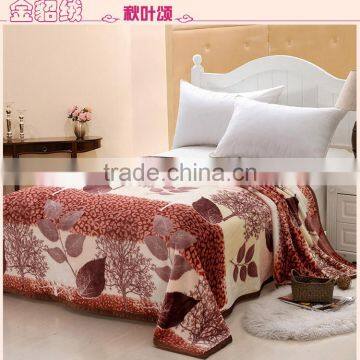 New Style Printed Sharpe/polar Fleece Blanket 2ply Blanket photo-3