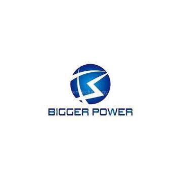 Bigger Power Technology LTD