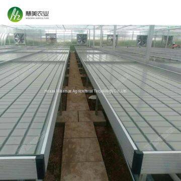 Agricultural medicine seeding growing ABS tray greenhouse rolling bench