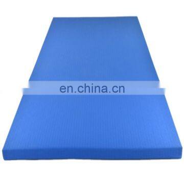 Used Martial Arts Judo Floor Mat