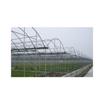 Agriculture Greenhouse Covered With Clear Plastic Poly Film photo-4