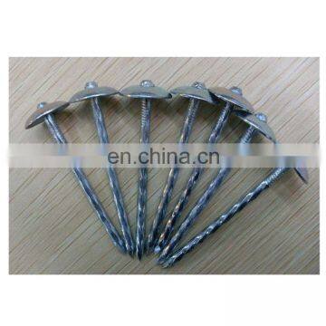 China Factory Cheap Price BWG Q195 Galvanized Gi Umbrella Head Roofing Nails With Washer