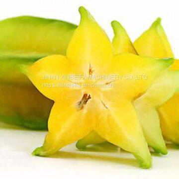 Машина для сушки карамбол photo-4