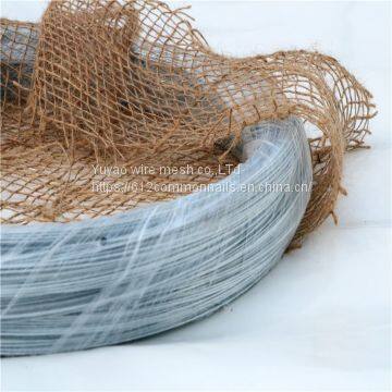 Electro Galvanized Wire Tie Wire Binding Wire photo-2
