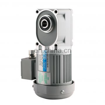 ZDF3 Double Flange Mounted AC Induction 100W Hypoid Gearmotor 220V 380V Hollow shaft